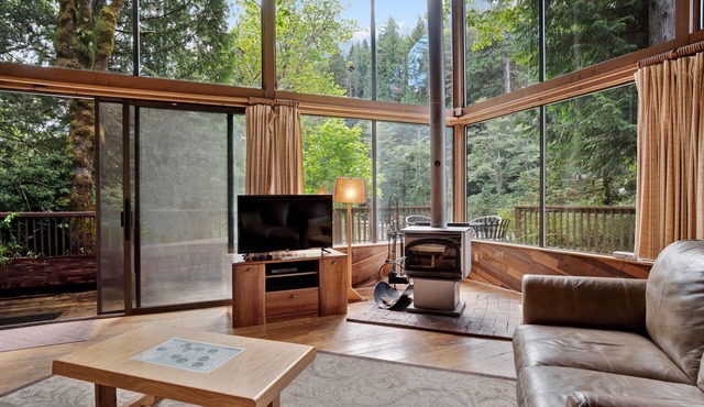 Riverfront cabin with soaring views of mountains & woodstove - dog-friendly in Baring