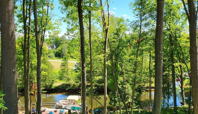 Riverfront in Downtown Bellaire - Year Round Fun! Boat/Golf/Bike/Ski/Fish/Hike