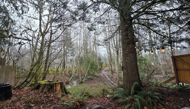 Riverside Cabin Near Mt Rainier & White Pass - Packwood - AC - EV Plug