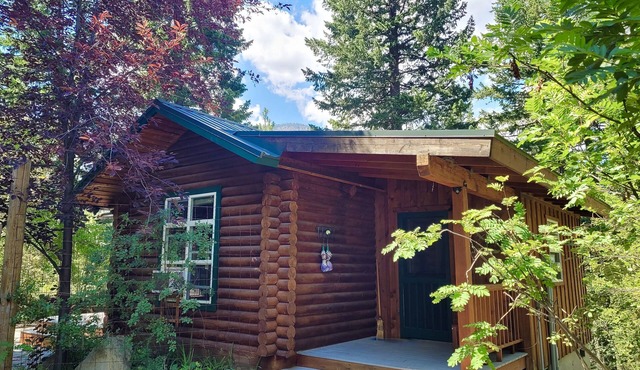 Rocky Top - Dog-Friendly Cute and Cozy Log Cabin!