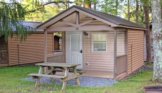 Rustic Cabin 73 w/4 Beds in Spring Mills