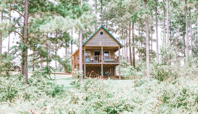 Rustic Cabin Overlooking Private 48 acre Bass Fishing Lake