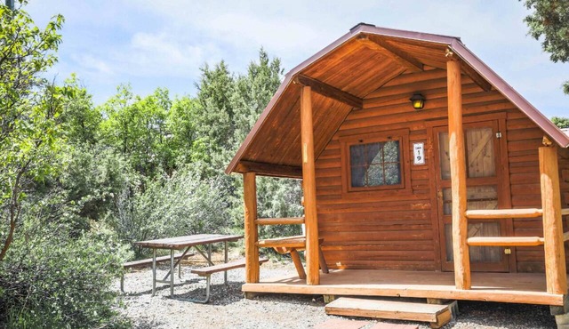 Rustic Cabin (Sleeps 2) - The Camping Cabin sleeps a maximum of 2. Bring your own linens. in Durango