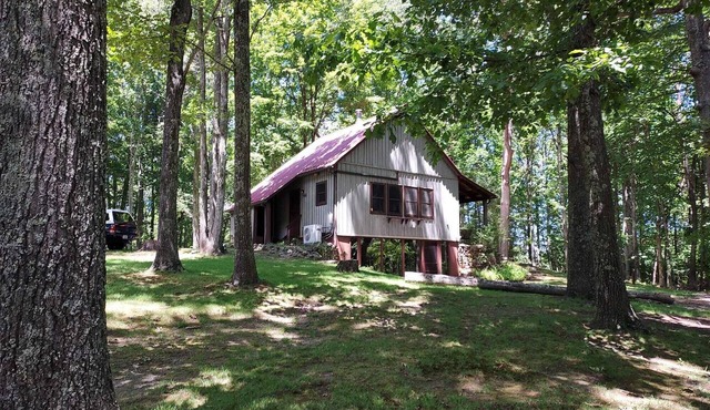 Rustic mountain retreat in beautiful Millboro - enjoy the solitude of the woods. in Millboro