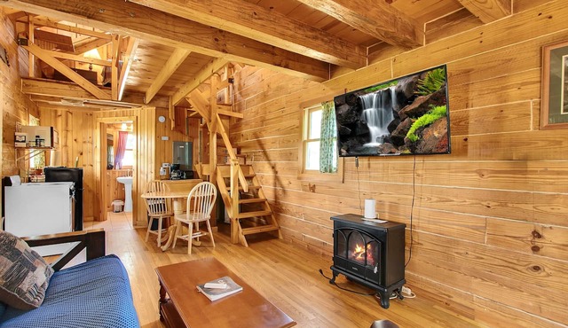 Rustic River Cabin 2