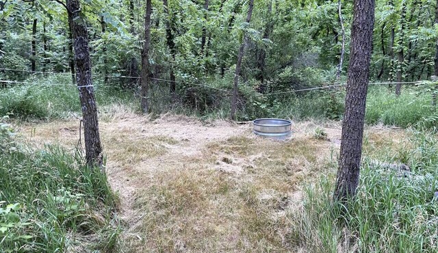 Rustic Tent Campsite #2
