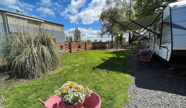 RV Glamping in horse and wine country and pet friendly!