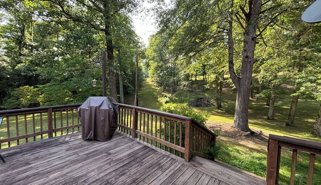 Secluded Appalachian Paradise