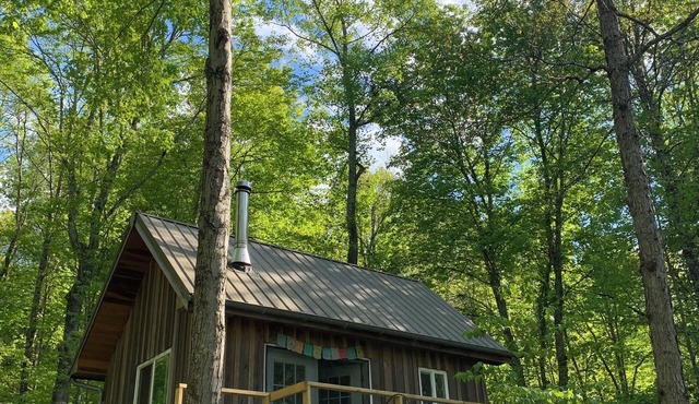 Secluded Tiny Cabin on 7 Private Wooded Acres - Retreat, Disconnect & Stargaze in Pomeroy