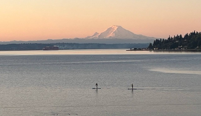 Serene 2-bedroom beach view cottage in charming Bainbridge Island