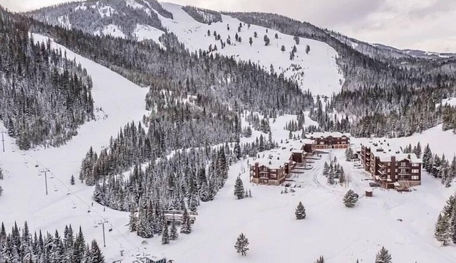 Ski In/Out LoneMooseMeadows Condo