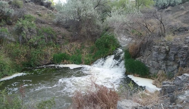 Snake R. Canyon/Creekside Retreat. Near 1000 Springs/Hot Springs/Balanced Rock