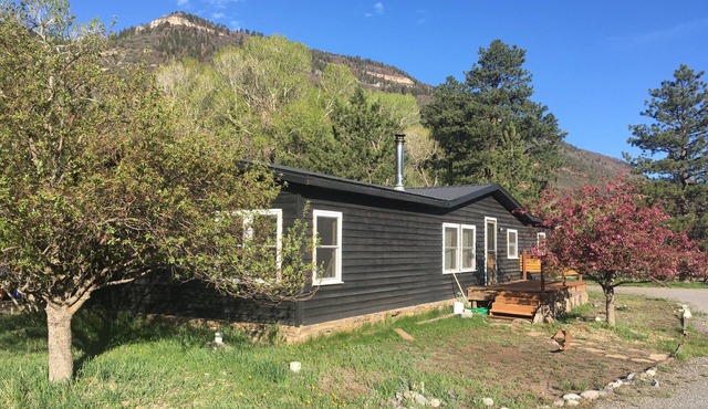 Spacious 4 bd 2 bth Ridgway-Ouray Ranch Home; Adventure Basecamp! STR-1-2024-069