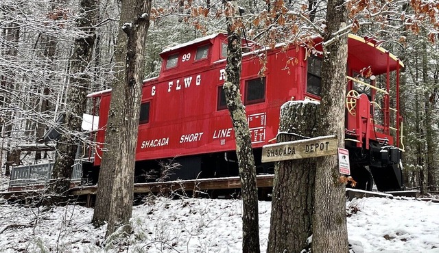 Spacious Secluded Home with Real Antique Caboose and Mountain View!