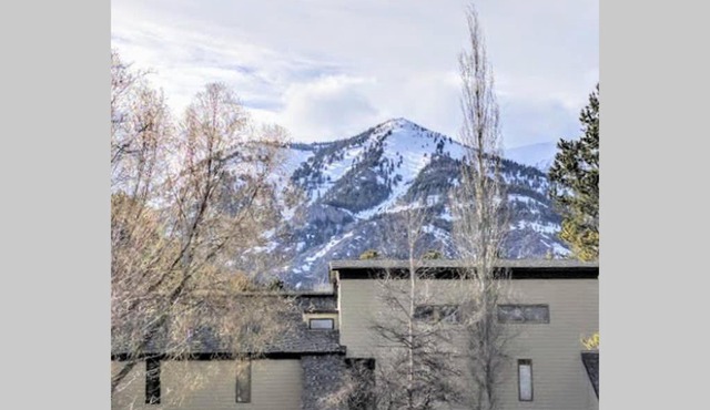 Spectacular Mountain Condo