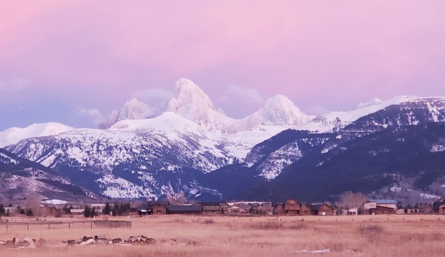 Stunning Teton View Casita 2 BR/2BA Dog Friendly Just 12 miles to Grand Targhee