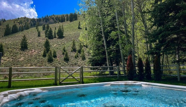 Sun Valley Luxe: Dog-Friendly Yard, Hot Tub!