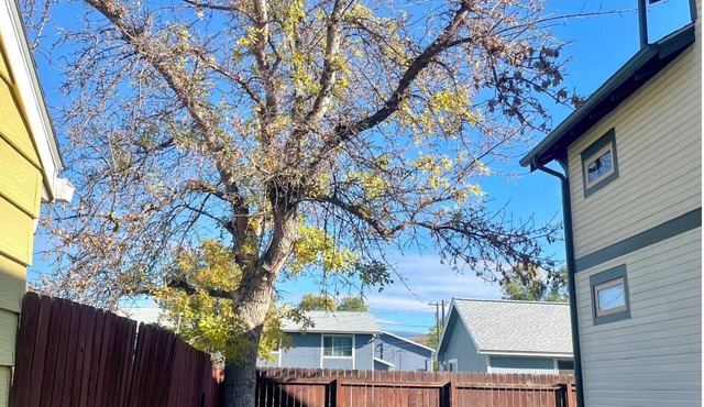 Sunkissed 2-bedroom in Missoula with private patio and fenced yard