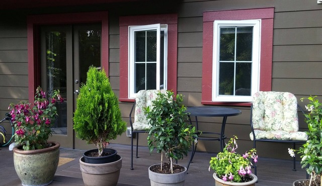 The Cozy Studio of Lake Forest Park
