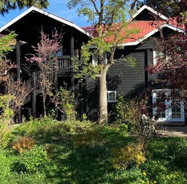 The Dandelion SV-Floret. B&B, Reimagined