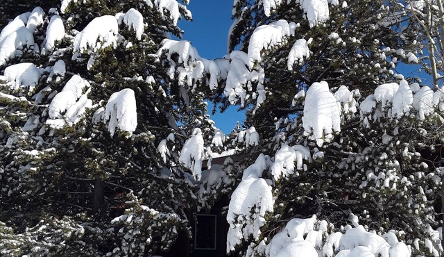 The Firehole Cabin 418, 6 Bedrooms 4 Baths Sleeps up to 18 Yellowstone Entrance 2 Minutes Away