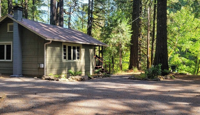 The Mckenzie River Nest, a cozy cabin on the river!