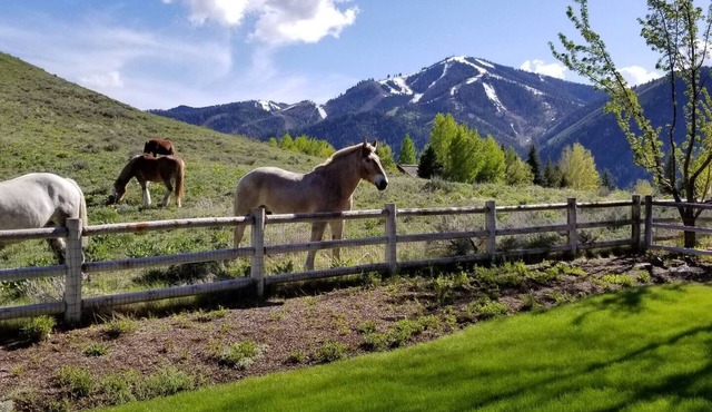The Perfect Sun Valley Vacation Home