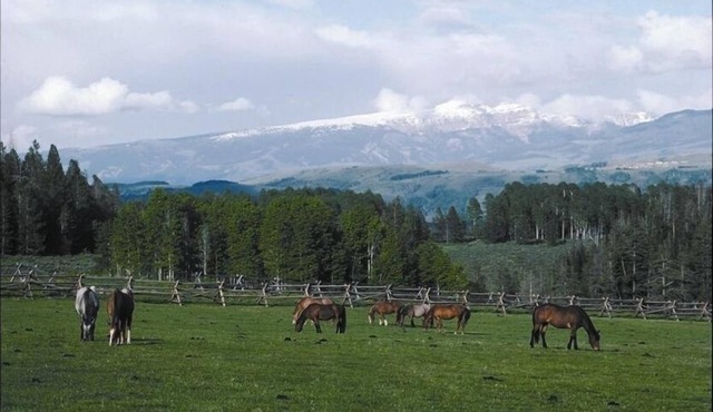 The Ritz at the Historic Trail Creek Ranch