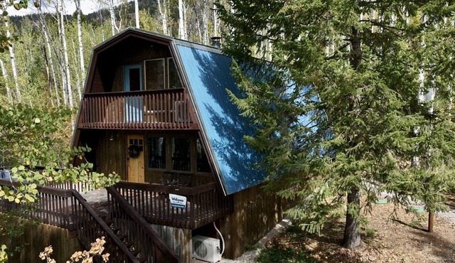 The Rustic Blue Cabin surrounded by Aspen Trees