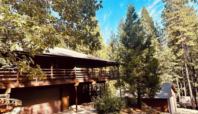 Tranquil - 2 bedroom cabin in charming Trinity Center awaits you