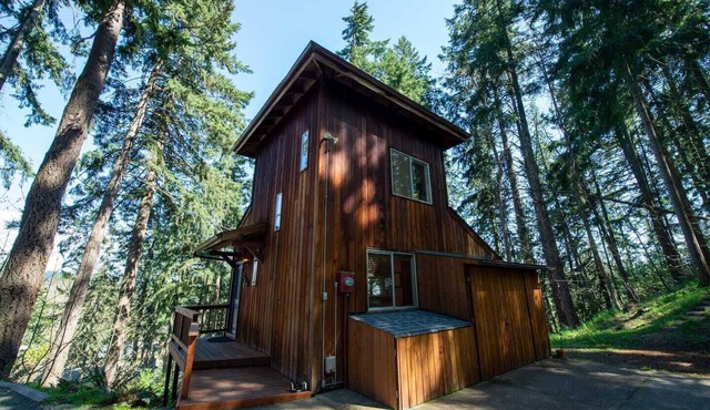 Tranquil Forested Cabin with Sauna, Home Gym, & AC