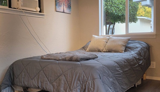 Travel Professional Studio I
