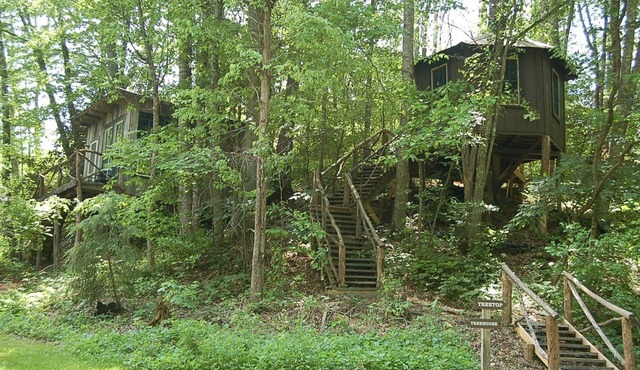 Tree Top Cabin in Crumpler