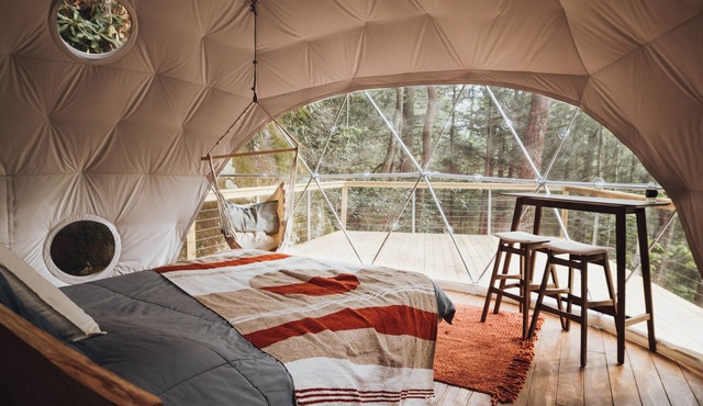 Turtle Dome Treehouse: part of the dome town village!