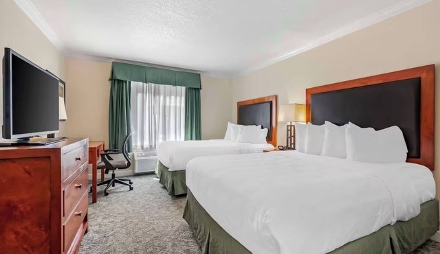 Two Standard 2 Queen Rooms + Free Breakfast | 6-Mins to Eagle Pool & Ice Rink