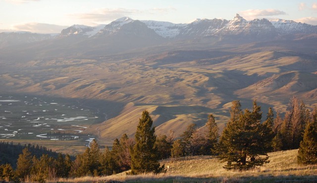 Unbelievable views, space, and serenity at this comfy classic cabin.