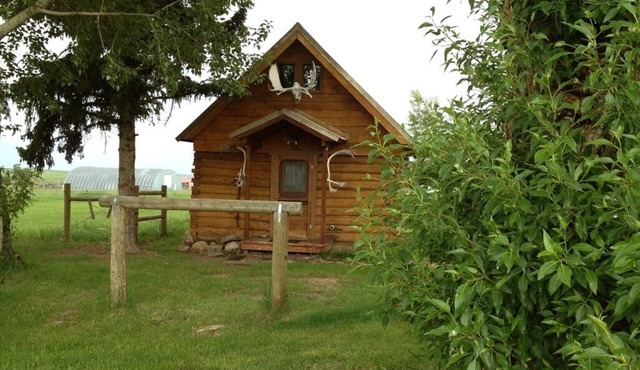 Uncle Buddy's Cabin