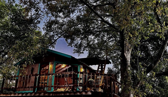 Unique Bamboo Tree House for an Unforgettable Couples Getaway by Lake Conroe, Texas in Willis