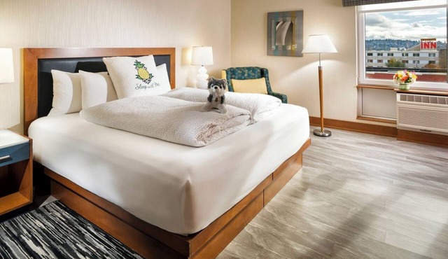 University District Stay | 1 King Bed | Near Roosevelt Way