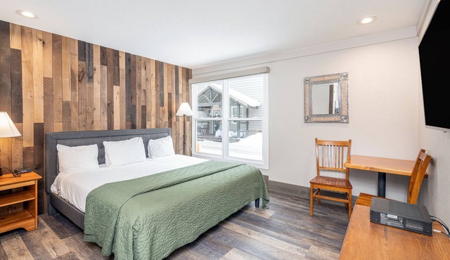 Updated Pet-Friendly Hotel Room With King Bed