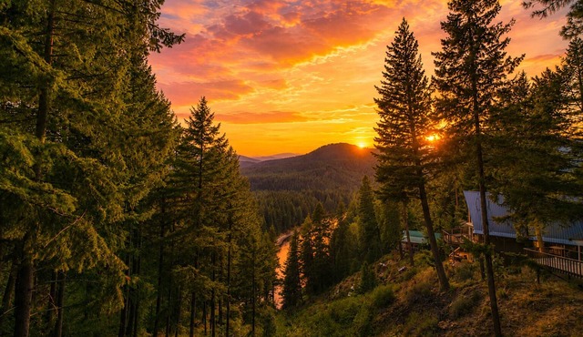 Views | Hot Tub | Stargaze | Dogs | BBQ | Firepit