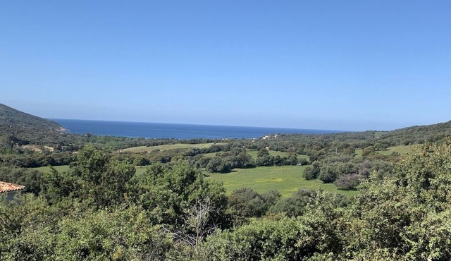 Villa with pool, between olive trees and sea - fantastic view! in Cargèse