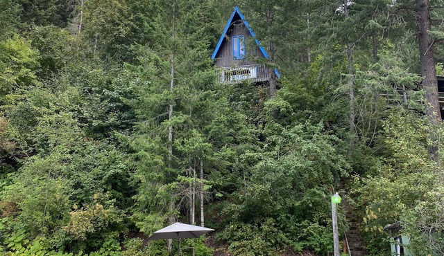 Waterfront Cabin on Cedar Bay at Deer Lake.
