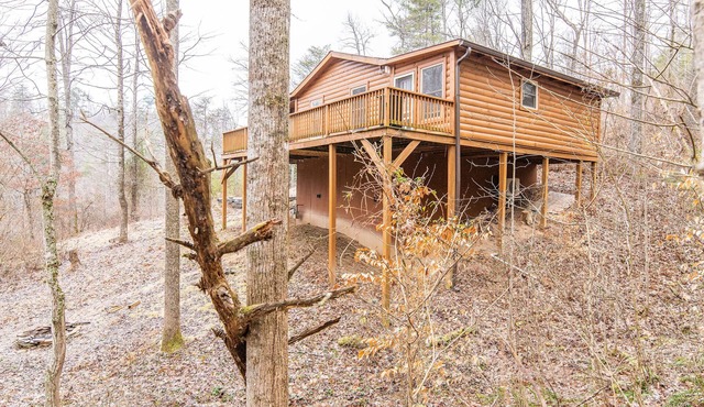 WiFi & Pet-Friendly - Eclectic Hillside - near Red River Gorge, Kentucky!