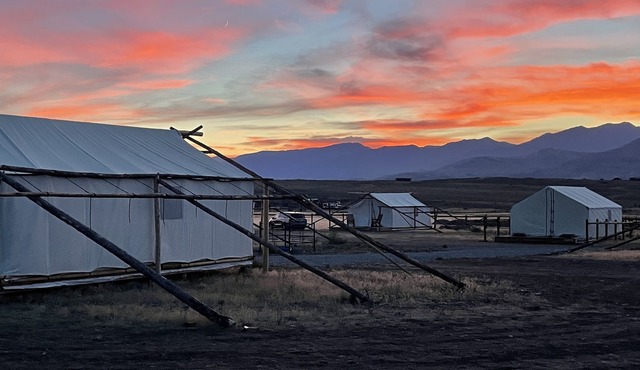 Yellowstone Dreamin Camp