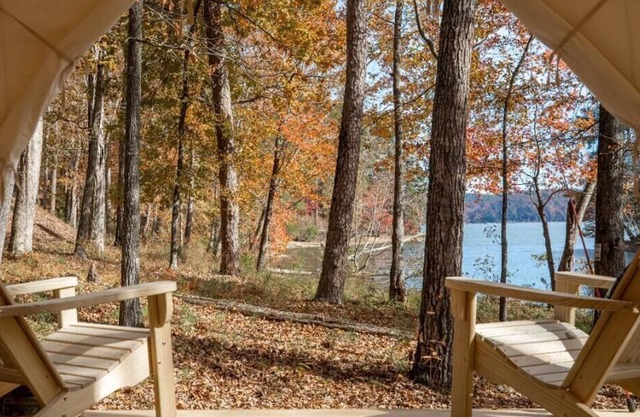 Tentrr State Park Site Mississippi Jp Coleman Shady Bluff 