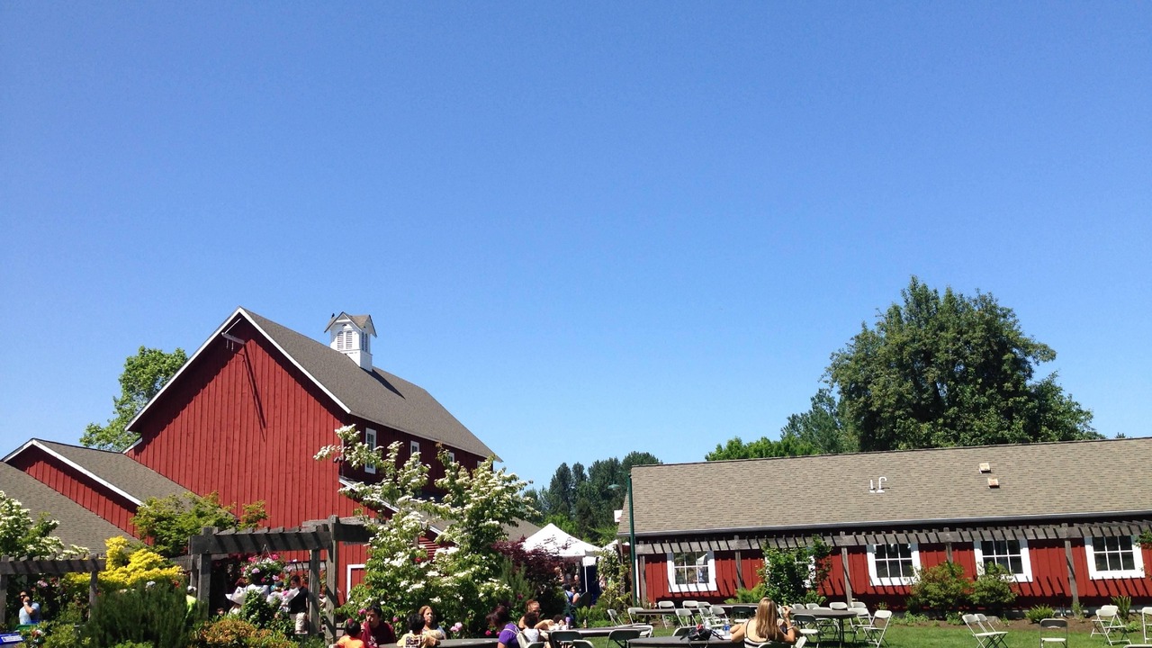 Photo of Buildings in Issaquah