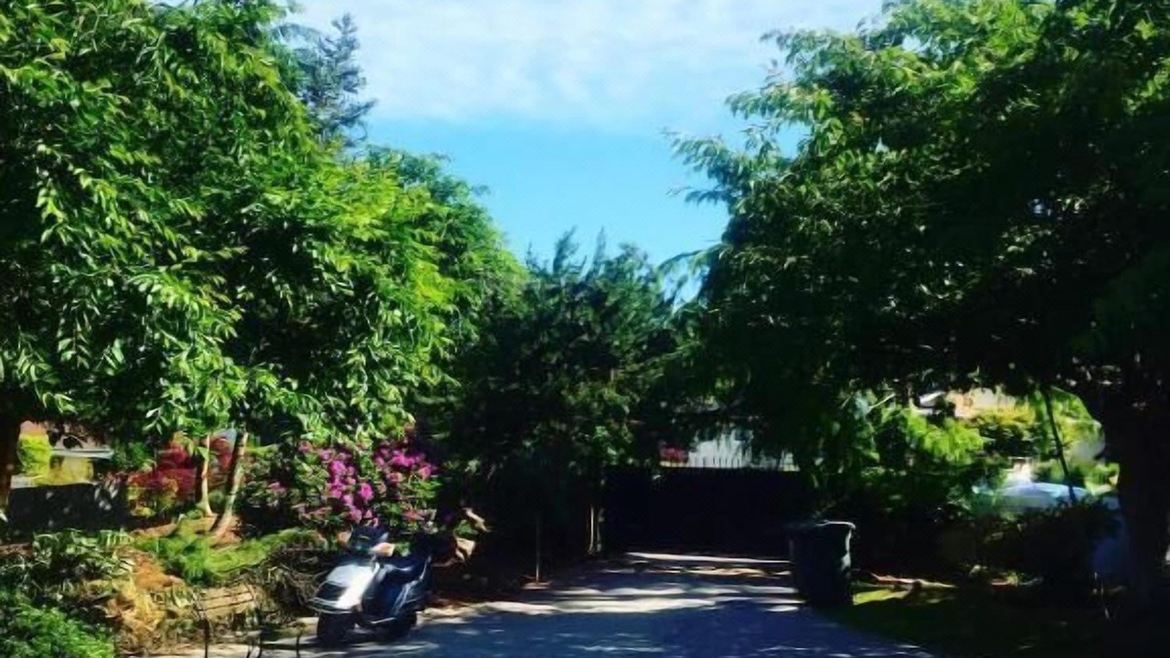 Photo of Outdoor in The Bowl of Edmonds