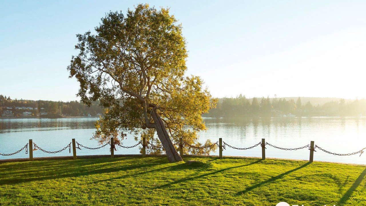 Photo of Buildings in Port Ludlow