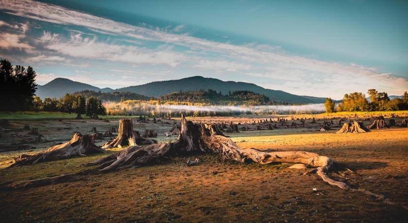 Photo of Others in Nisqually Park